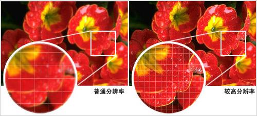 image005.jpg image005.jpg